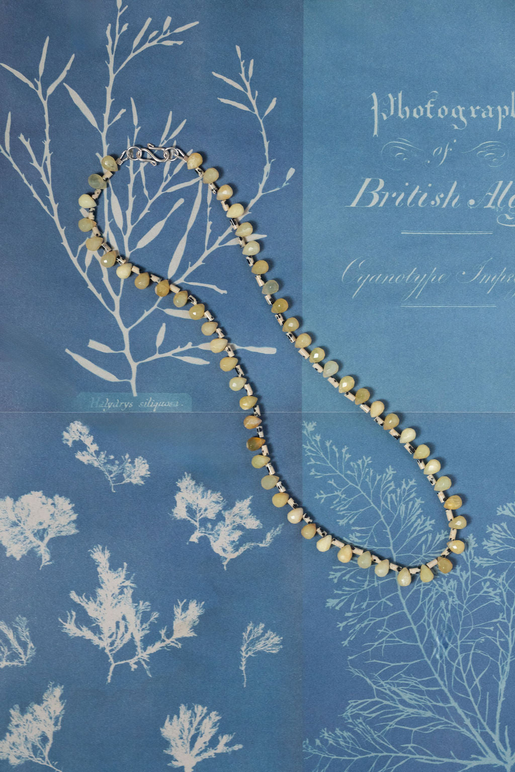 Golden Dalmatian Jasper Necklace