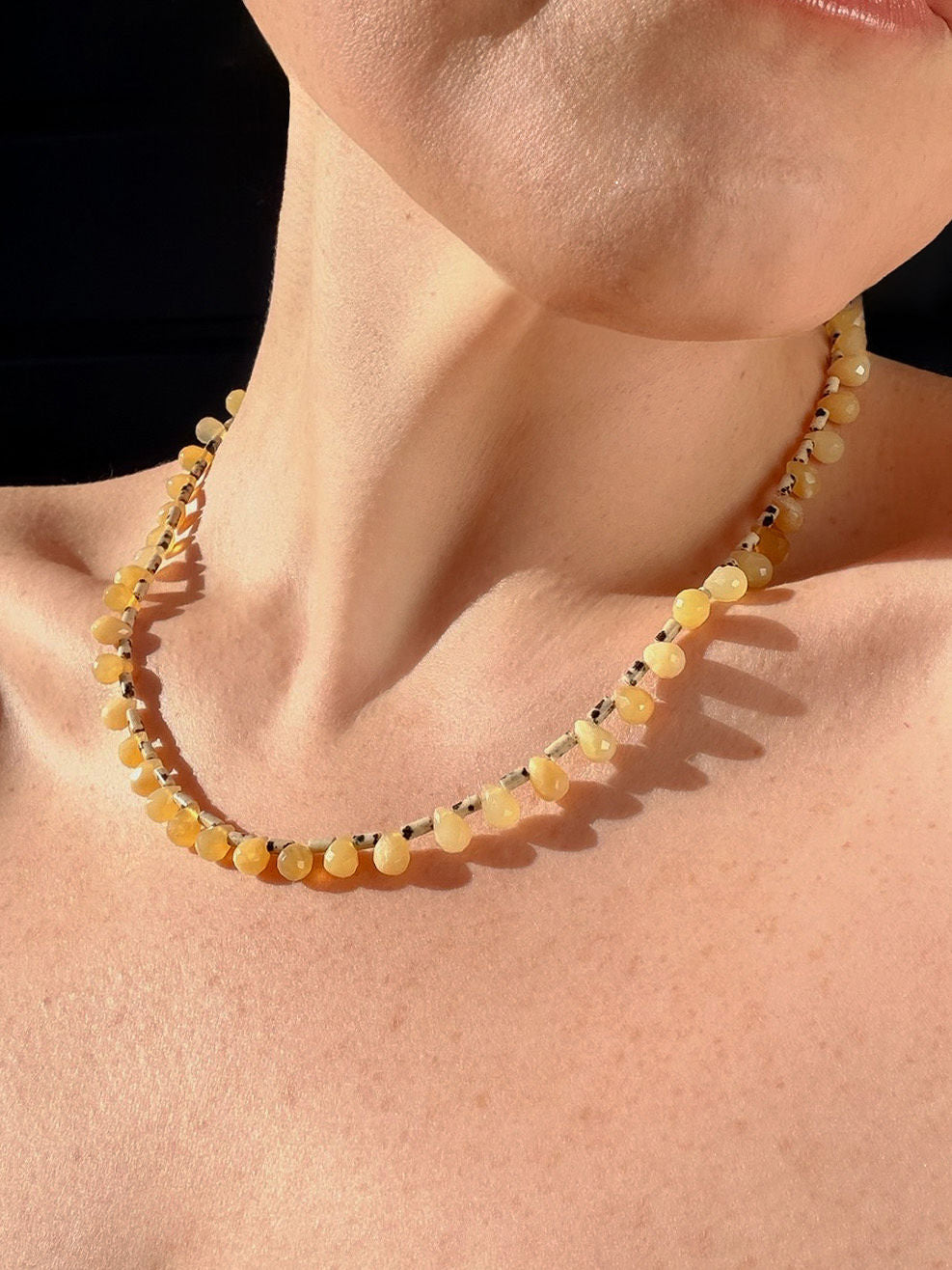 Golden Dalmatian Jasper Necklace